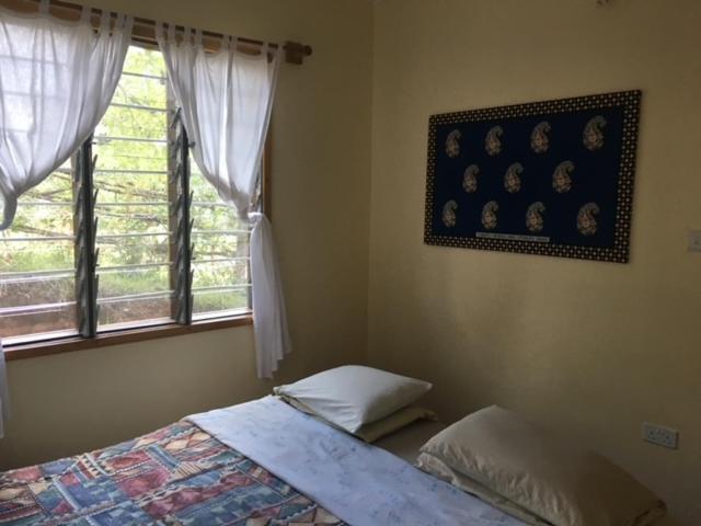 Milemeleni Guesthouse Lushoto Kültér fotó
